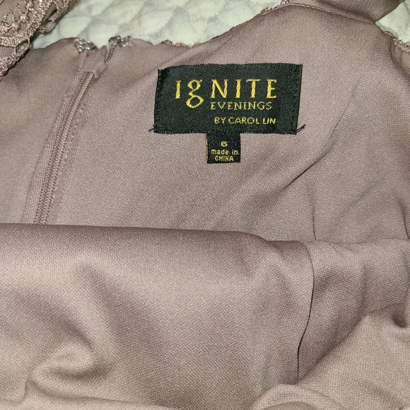 Ignite Evenings Lace Dress - Picture 4 of 5